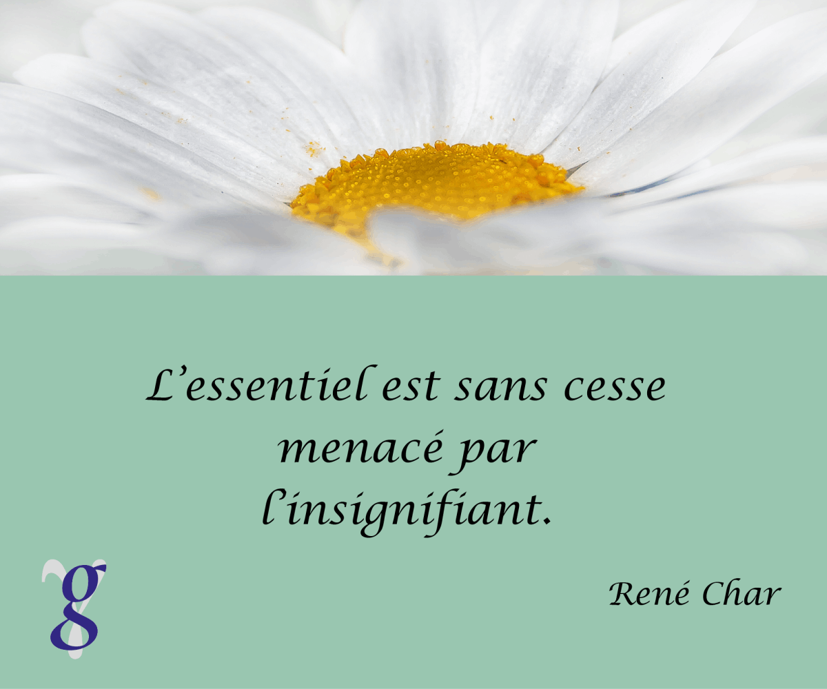 Carte-citation : l'essentiel